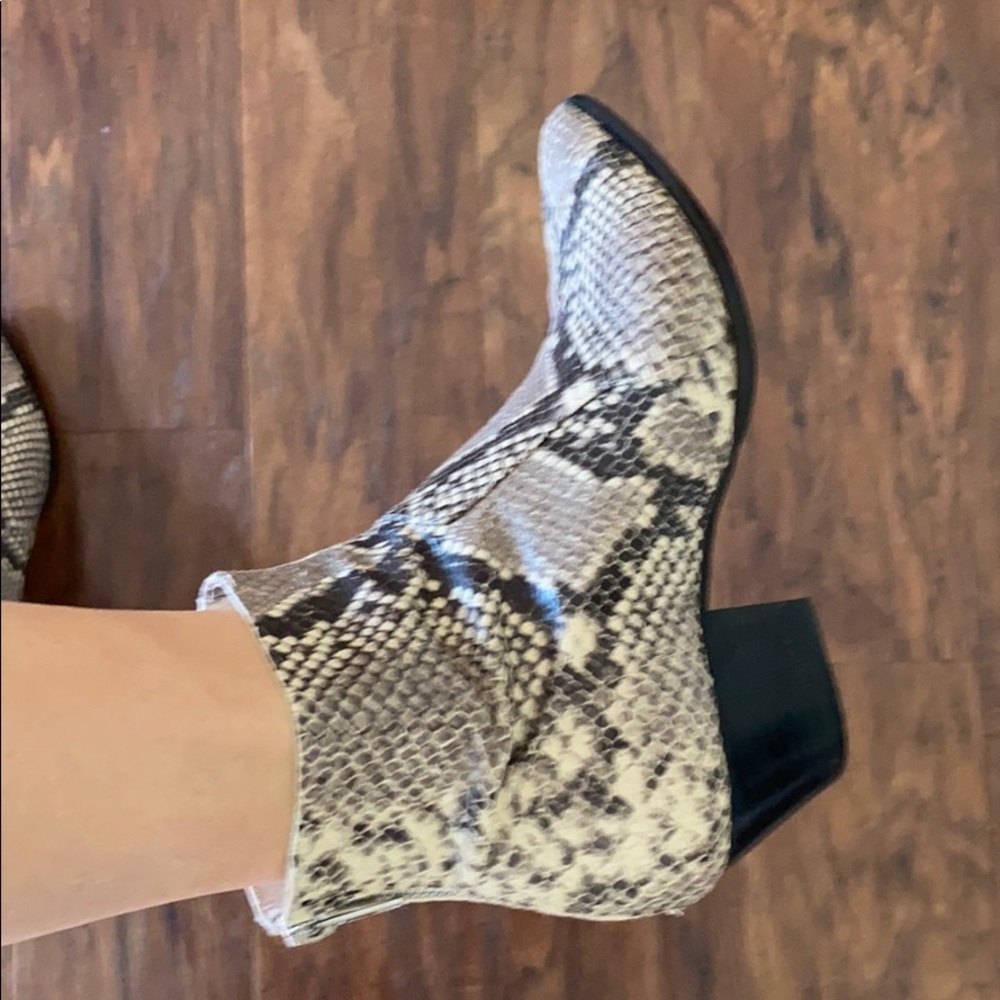Steve Madden snakeskin booties